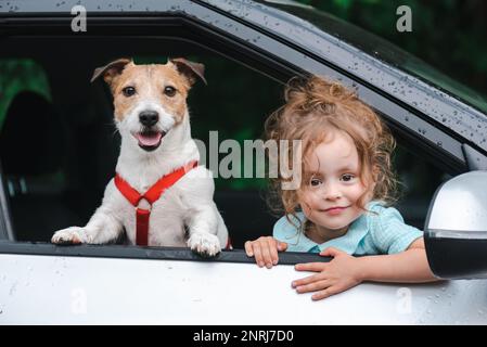 Famille voyageant en voiture. Petite fille et chien d'animal de compagnie regardant par la fenêtre de voiture attendant que la pluie de printemps s'arrête Banque D'Images