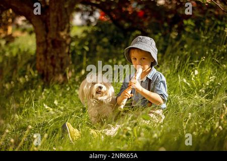 Enfant élégamment habillé, garçon avec chien d'animal, jouant dans le parc sur la flûte, appréciant sa compagnie d'ami d'animal de compagnie Banque D'Images