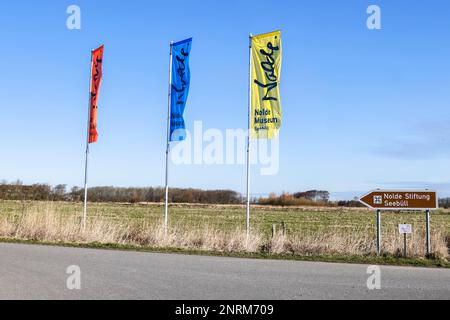 Neukirchen, Allemagne. 27th févr. 2023. Les drapeaux soufflent dans le vent le long d'une route menant à la Fondation Nolde à Seebüll. Sur 1 mars 2023, le premier spectacle s'ouvre dans la maison rénovée du peintre Emil Nolde. Credit: Frank Molter/dpa/Alay Live News Banque D'Images