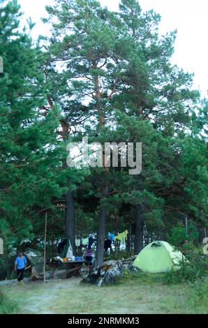 Une fille touriste cuisine à une table à l'extérieur dans un parking près d'une tente dans la forêt avec un homme marchant à proximité. Banque D'Images