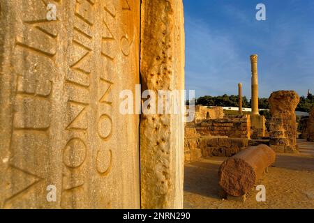 Tunez : Carthage. Les Thermes d'Antonin (construit au 2ème siècle après J.-C.). Banque D'Images