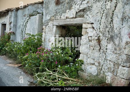 Bâtiment ancien de place abandonné. Maçonnerie en décomposition qui est complètement surcultivée par les plantes à fleurs. Banque D'Images