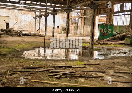 Lieu abandonné Bâtiment industriel: Hall industriel lumineux avec sol recouvert de mousse, poutres apparentes et un bas de porte dans lequel les éléments de construction sont réfléchissants Banque D'Images