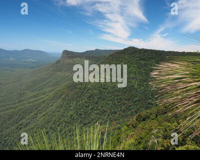 Vue sur l'escarpement de Tweed et le mont Warning depuis la promenade Pinnale, le parc national Border Ranges, Nouvelle-Galles du Sud. Banque D'Images