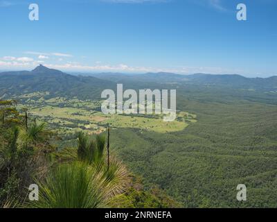 Vue sur l'escarpement de Tweed et le mont Warning depuis la promenade Pinnale, le parc national Border Ranges, Nouvelle-Galles du Sud. Banque D'Images