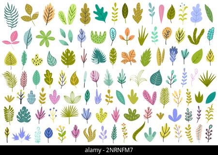 Paquet de plantes et de feuilles. Grande collection avec éléments naturels Illustration de Vecteur