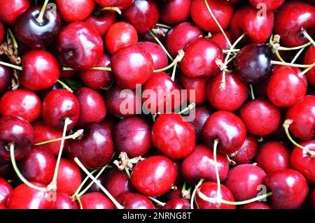 Fond de cerises douces. Plein cadre de cerises. Banque D'Images