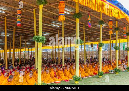 Moines bouddhistes à la cérémonie religieuse de Paro. Bhoutan Banque D'Images