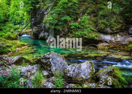 Paysage alpin avec la rivière Radovna dans la gorge de Vintgar, parc national de Triglav, Slovénie. Banque D'Images