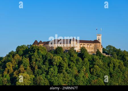 Château de Ljubljana sur une colline boisée dans la ville de Ljubljana en Slovénie. Banque D'Images