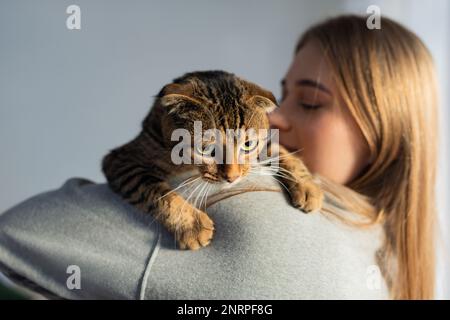 Décontracté jeune femme Blonde tient l'épaule un mignon chat écossais de Tabby à l'oeil vert et l'épouse à la maison à la fenêtre, le concept de l'amour et de prendre soin des animaux de compagnie Banque D'Images
