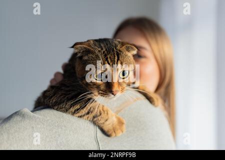 Décontracté jeune femme Blonde tient l'épaule un mignon chat écossais de Tabby à l'oeil vert et l'épouse à la maison à la fenêtre, le concept de l'amour et de prendre soin des animaux de compagnie Banque D'Images