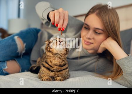 Happy Young blonde femme couché dans son lit dans un chandail un chien de train domestique mignon jouant écossais tabby chat à la maison, concept aimant et les animaux de compagnie Banque D'Images