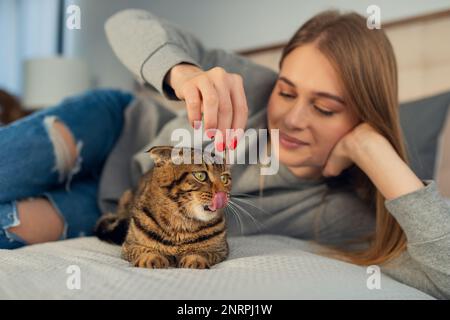 Happy Young blonde femme couché dans son lit dans un chandail un chien de train domestique mignon jouant écossais tabby chat à la maison, concept aimant et les animaux de compagnie Banque D'Images