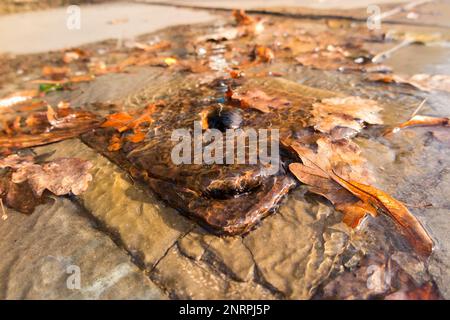 Fuite d'eau provenant d'une couverture métallique dans la chaussée, plus petite qu'une couverture de trou d'homme, qui abrite probablement une vanne d'arrêt. ROYAUME-UNI (133) Banque D'Images