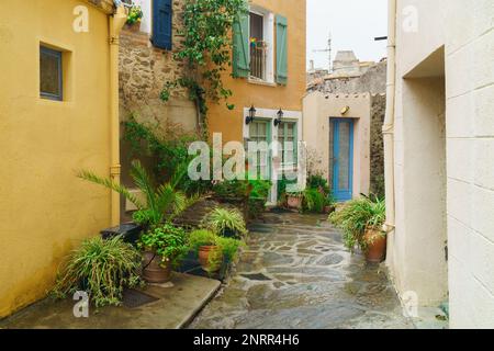 Jolies maisons méditerranéennes anciennes avec des volets colorés dans un village pittoresque de Collioure, en France. Balcons colorés jaune, bleu et d Banque D'Images