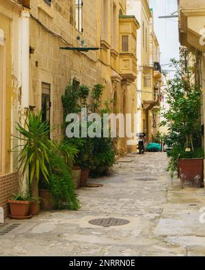 La vieille ville médiévale typique rue étroite dans la ville de la Valette sur l'île de Malte. Balcons jaunes et portes classiques et plantes vertes près de la trad Banque D'Images