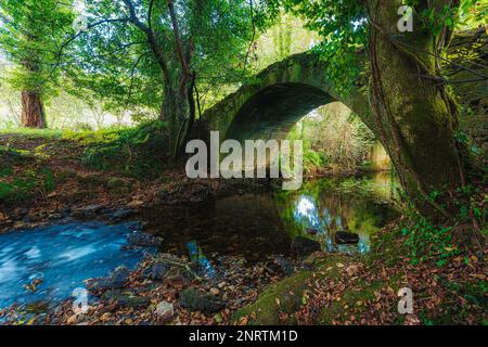 Ancien pont voûté en pierre au-dessus d'une rivière dans la forêt Banque D'Images