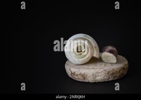 coquille de conch avec bâton de bois de santal et pierre. pooja essentiels pour les rituels pendant les fêtes religieuses hindoues. tir sur fond noir avec copie sp Banque D'Images