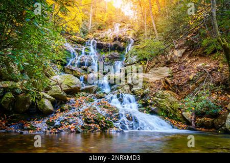 Vue panoramique sur les chutes de Catawba dans la forêt nationale de Pisgah près d'Asheville, en Caroline du Nord Banque D'Images