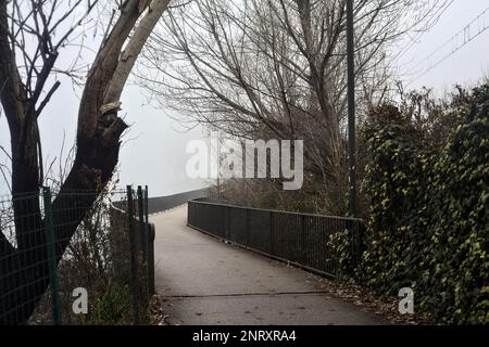 Pont dans un bosquet au-dessus d'un lac lors d'une journée brumeuse en hiver Banque D'Images