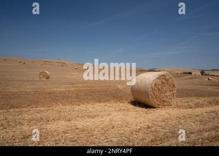 Balles de foin sur les prairies en Toscane Banque D'Images