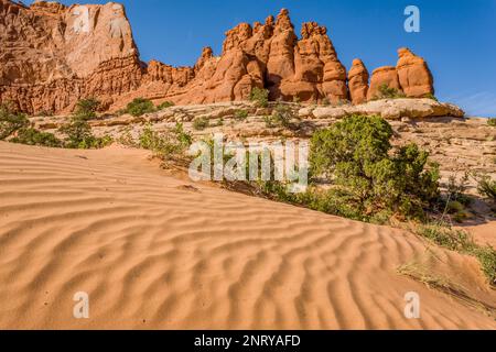 Ondule dans le sable devant les formations de grès Entrada des rochers Navajo près de Moab, Utah. Banque D'Images