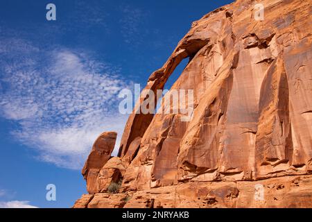 La cruche Handle Arch est une arche presque verticale dans le grès Wingate près de la rivière Colorado près de Moab, Utah. Banque D'Images