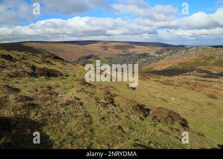 Vue printanière de Honeybag tor, Dartmoor, Devon, Angleterre, Royaume-Uni Banque D'Images