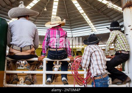 Spectateurs regarder une charreada rodéo mexicain au Lienzo Charro Zermeno, Guadalajara, Jalisco, Mexique Banque D'Images