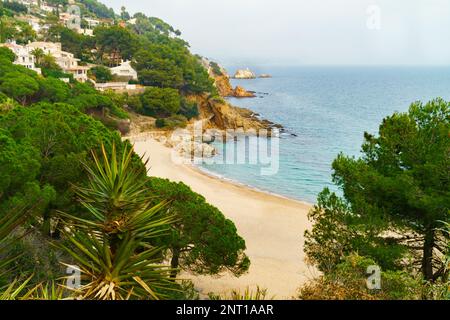 Panorama des rochers sur la côte de Lloret de Mar situé sur la magnifique Costa Brava sauvage au nord de Barcelone, Catalogne, Espagne. Beau brouillard frais hiver Banque D'Images