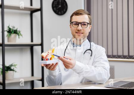 Un jeune otolaryngologiste attrayant médecin est assis à son lieu de travail dans le bureau et tient un modèle de la structure de l'oreille dans ses mains. Le Banque D'Images