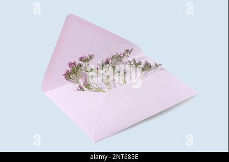 Ouvrez l'enveloppe rose avec quelques petites fleurs roses dans elle comme un message de félicitations ou un symbole d'amour pour des vacances comme les valentines, anniversaire, fête des mères Banque D'Images