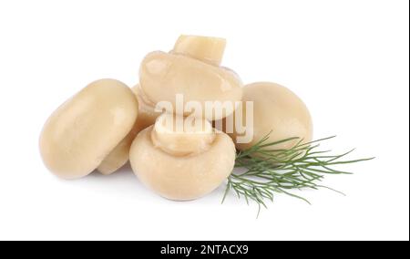 Délicieux champignons marinés avec aneth isolé sur blanc Banque D'Images