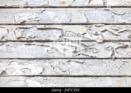 Gros plan sur un vieux fond en bois peint blanc avec des clous rouillés. Banque D'Images