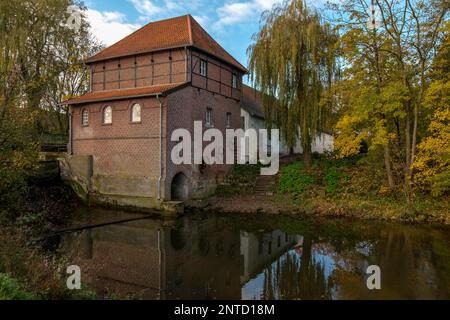 Moulin de Plagemann, moulin à eau de grain restauré avec scierie, Metelen, Muensterland, Rhénanie-du-Nord-Westphalie, Allemagne Banque D'Images