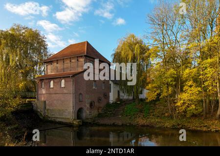 Moulin de Plagemann, moulin à eau de grain restauré avec scierie, Metelen, Muensterland, Rhénanie-du-Nord-Westphalie, Allemagne Banque D'Images