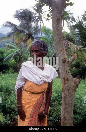 Une vieille femme tribale à Attapadi, Kerala, Inde, Asie Banque D'Images