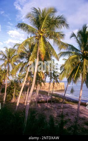 Kovalam, des étendues de plage de sable doré, bordées de cocotiers, très proche de la capitale Thiruvananthapuram, Kerala, Inde, Asie Banque D'Images