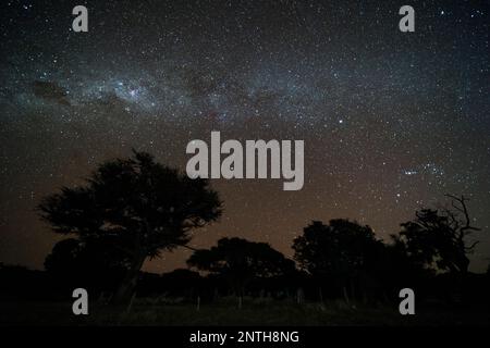 La voie lactée vue par une nuit africaine claire. Banque D'Images