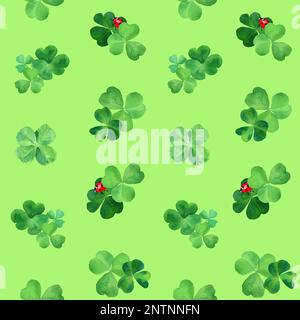 Motif sans couture avec trèfle aquarelle et coccinelles. Décoration printanière dessinée à la main avec herbe verte et insectes sur le fil blanc. Conception de couvercles, d'emballages, Banque D'Images