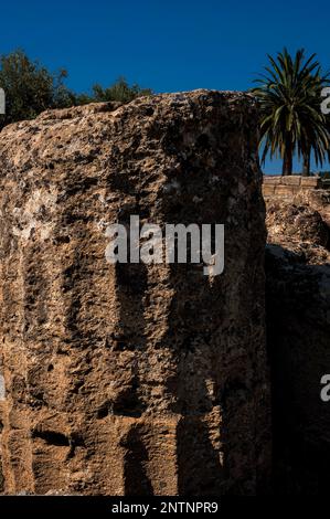 Tambour dénoyé d'une colonne Doric à cannelures avec de plus grands blocs de maçonnerie au milieu de temples ruinés et d'autres structures sacrées dédiées à deux anciennes divinités sous-mondiales grecques, la déesse Demeter et sa fille, Persephone. Les bâtiments, élevés à la fin de 400s av. J.-C., se trouvent dans la vallée des temples, vestiges de la ville Graeco-romaine d'Akragas ou Agrigentum à Agrigento, Sicile, Italie. Banque D'Images