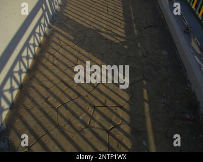 Un vieux CD accroché sur avegeatble patch utilisé pour faire fuir les  oiseaux comme il tourne l'adn reflète la lumière dans le vent Photo Stock -  Alamy