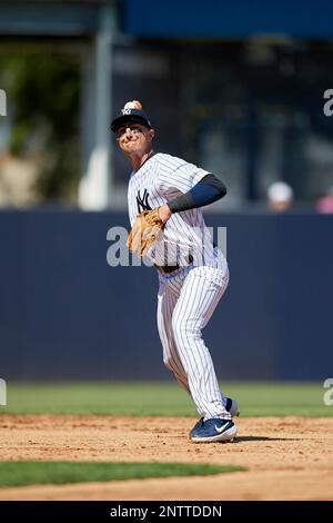 New York Yankees shortstop Troy Tulowitzki (12) at bat during a Grapefruit  League Spring Training game against the Toronto Blue Jays on February 25,  2019 at George M. Steinbrenner Field in Tampa