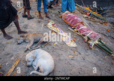 Corps en attente d'être dirigé, à Manikarnika Ghat ghat, l'incendie, sur les rives du Gange, Varanasi, Uttar Pradesh, Inde. Banque D'Images