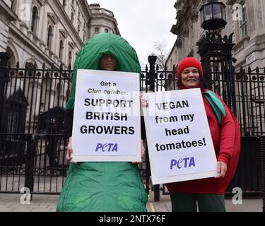 Londres, Angleterre, Royaume-Uni. 28th févr. 2023. Deux défenseurs des droits des animaux de l'organisation PETA (People for the Ethical Treatment of Animals), vêtus de concombre et de tomate, ont organisé une manifestation devant le 10 Downing Street, exhortant le secrétaire à l'environnement ThérÃ¨se Coffey à soutenir les fermiers britanniques, au milieu de la pénurie de fruits et légumes au Royaume-Uni. (Credit image: © Thomas Krych/ZUMA Press Wire) USAGE ÉDITORIAL SEULEMENT! Non destiné À un usage commercial ! Banque D'Images