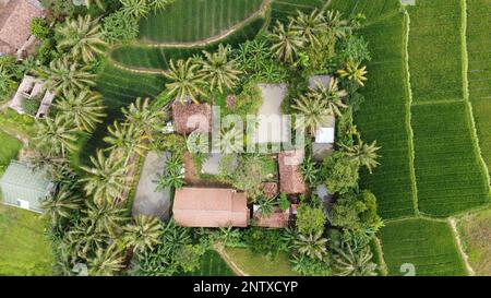 Drone poto d'une maison au milieu du riz ou d'une forêt entourée de plusieurs étangs à poissons et de beaucoup d'arbres et de plantes Banque D'Images