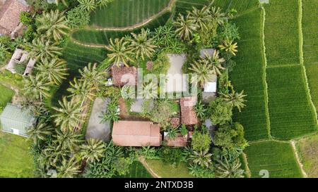 Drone poto d'une maison au milieu du riz ou d'une forêt entourée de plusieurs étangs à poissons et de beaucoup d'arbres et de plantes Banque D'Images