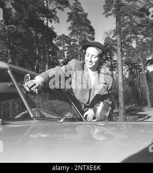 Dans le 1950s. Une femme photographiée lors du nettoyage de la vitre avant de sa voiture. À ce moment-là, les pare-brise étaient souvent divisés en deux parties, ceci en raison du fait qu'ils n'étaient pas encore en mesure de produire un plein écran, ceci est venu un peu plus tard. Notez la lumière de recherche, une caractéristique commune sur les voitures à ce moment-là. Suède 1950 Kristoffersson réf. AY84-5 Banque D'Images