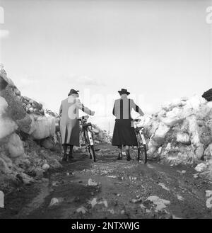 Catastrophe naturelle en 1940s. Au début de l'été 20-23 mai 1944, l'eau de la rivière Torne älv a inondé en raison d'une masse de glace qui a étouffé l'eau 3,5 mètres plus haut que la normale. Les conséquences ont été graves. Sur les terrains environnants, des mètres de glace ont été laissés derrière lorsque l'eau s'est écoulée et a détruit les bâtiments de la ferme et couvrant les champs. La route principale qui vient d'être dégagée de la couverture de glace et deux femmes locales qui conduisent leurs bicyclettes près du village de Korpikylä près de Skogskärr Kristoffersson réf. H132-3 Banque D'Images